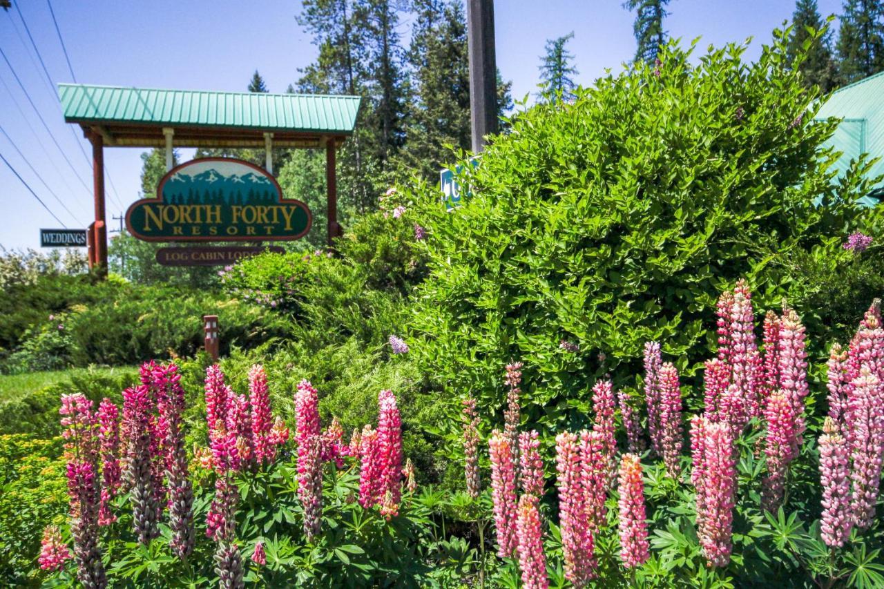 North Forty Resort Columbia Falls Exterior photo